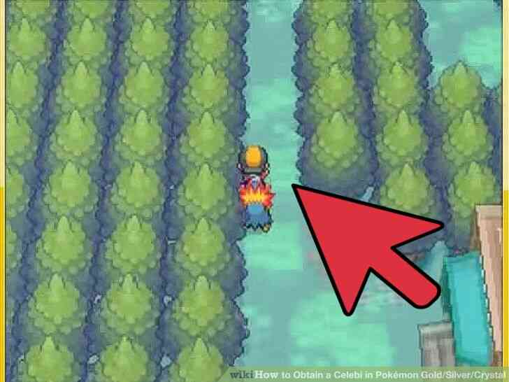 Image intitulée Attraper un Celebi Étape 14